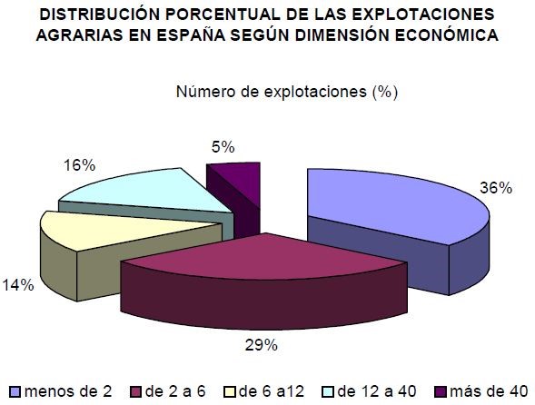 Gráfico de la distribución de las explotaciones agrarias en España según la dimensión económica