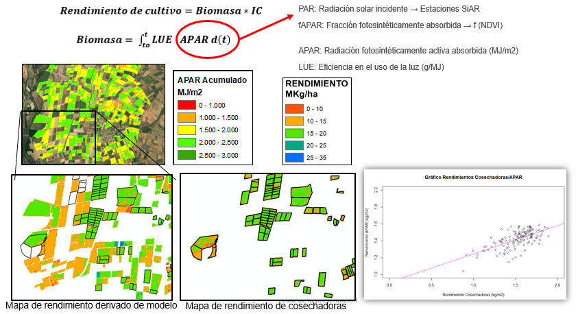 Image représentative du calcul de la biomasse et du rendement de culture dérivé du maïs