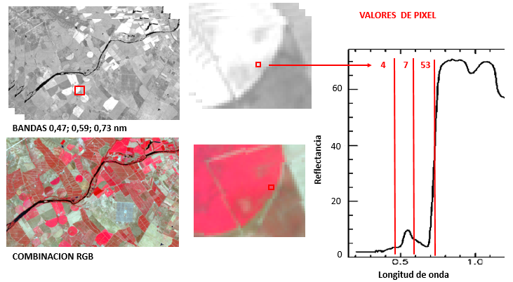 Image représentant la valeur numérique de la réflectance d'un pixel dans 3 bandes