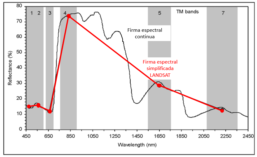 Graphique représentant la signature spectrale d'une couverture végétale