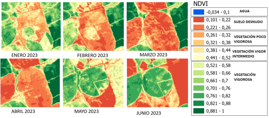 Visualisation mensuelle de l'indice NDVI dans un système d'irrigation pivot pour le maïs
