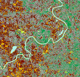 NDVI tipificado - color según rangos