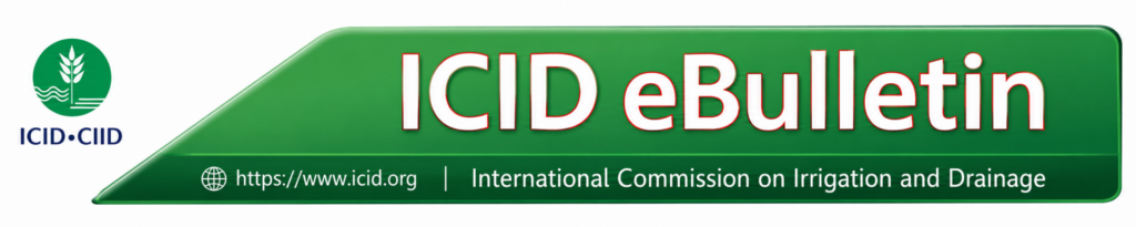 Logo boletín ICID