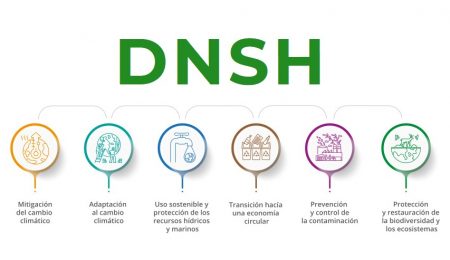 Logotipo del DNSH