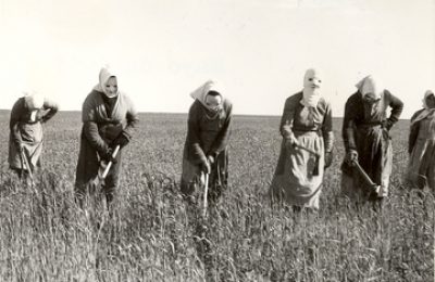 Mujeres arando un campo